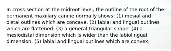 In cross section at the midroot level, the outline of the root of the permanent maxillary canine normally shows: (1) mesial and distal outlines which are concave. (2) labial and lingual outlines which are flattened. (3) a general triangular shape. (4) a mesiodistal dimension which is wider than the labiolingual dimension. (5) labial and lingual outlines which are convex.