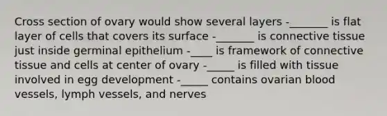 Cross section of ovary would show several layers -_______ is flat layer of cells that covers its surface -_______ is connective tissue just inside germinal epithelium -____ is framework of connective tissue and cells at center of ovary -_____ is filled with tissue involved in egg development -_____ contains ovarian blood vessels, lymph vessels, and nerves