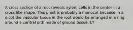 A cross section of a root reveals xylem cells in the center in a cross-like shape. This plant is probably a monocot because in a dicot the vascular tissue in the root would be arranged in a ring around a central pith made of ground tissue. t/f