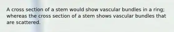 A cross section of a stem would show vascular bundles in a ring; whereas the cross section of a stem shows vascular bundles that are scattered.