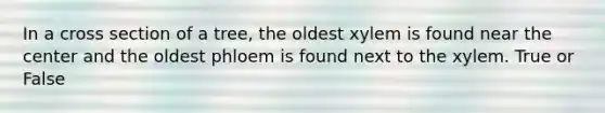 In a cross section of a tree, the oldest xylem is found near the center and the oldest phloem is found next to the xylem. True or False