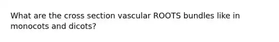 What are the cross section vascular ROOTS bundles like in monocots and dicots?