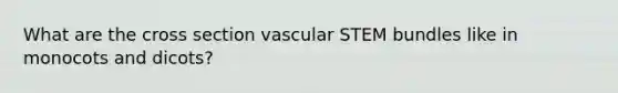 What are the cross section vascular STEM bundles like in monocots and dicots?