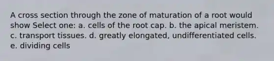 A cross section through the zone of maturation of a root would show Select one: a. cells of the root cap. b. the apical meristem. c. transport tissues. d. greatly elongated, undifferentiated cells. e. dividing cells