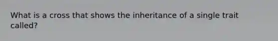 What is a cross that shows the inheritance of a single trait called?