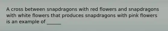 A cross between snapdragons with red flowers and snapdragons with white flowers that produces snapdragons with pink flowers is an example of ______
