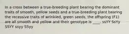 In a cross between a true-breeding plant bearing the dominant traits of smooth, yellow seeds and a true-breeding plant bearing the recessive traits of wrinkled, green seeds, the offspring (F1) are all smooth and yellow and their genotype is ____. ssYY SsYy SSYY ssyy SSyy