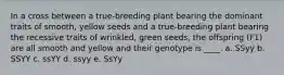 ​In a cross between a true-breeding plant bearing the dominant traits of smooth, yellow seeds and a true-breeding plant bearing the recessive traits of wrinkled, green seeds, the offspring (F1) are all smooth and yellow and their genotype is ____. a. SSyy b. SSYY c. ssYY d. ssyy e. SsYy