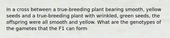 In a cross between a true-breeding plant bearing smooth, yellow seeds and a true-breeding plant with wrinkled, green seeds, the offspring were all smooth and yellow. What are the genotypes of the gametes that the F1 can form