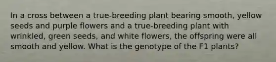 In a cross between a true-breeding plant bearing smooth, yellow seeds and purple flowers and a true-breeding plant with wrinkled, green seeds, and white flowers, the offspring were all smooth and yellow. What is the genotype of the F1 plants?