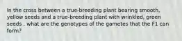 In the cross between a true-breeding plant bearing smooth, yellow seeds and a true-breeding plant with wrinkled, green seeds , what are the genotypes of the gametes that the F1 can form?