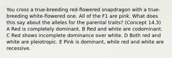 You cross a true-breeding red-flowered snapdragon with a true-breeding white-flowered one. All of the F1 are pink. What does this say about the alleles for the parental traits? (Concept 14.3) A Red is completely dominant. B Red and white are codominant. C Red shows incomplete dominance over white. D Both red and white are pleiotropic. E Pink is dominant, while red and white are recessive.