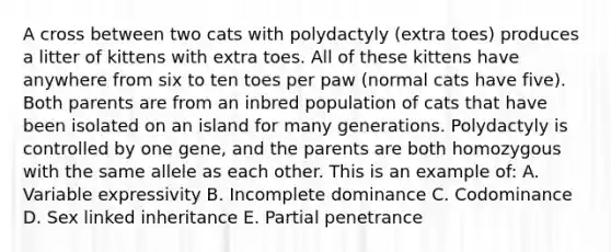 A cross between two cats with polydactyly (extra toes) produces a litter of kittens with extra toes. All of these kittens have anywhere from six to ten toes per paw (normal cats have five). Both parents are from an inbred population of cats that have been isolated on an island for many generations. Polydactyly is controlled by one gene, and the parents are both homozygous with the same allele as each other. This is an example of: A. Variable expressivity B. Incomplete dominance C. Codominance D. Sex linked inheritance E. Partial penetrance