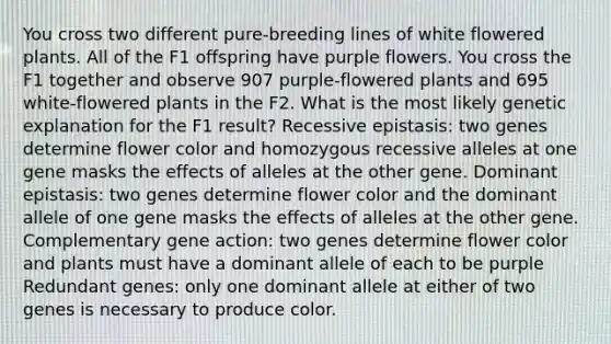 You cross two different pure-breeding lines of white flowered plants. All of the F1 offspring have purple flowers. You cross the F1 together and observe 907 purple-flowered plants and 695 white-flowered plants in the F2. What is the most likely genetic explanation for the F1 result? Recessive epistasis: two genes determine flower color and homozygous recessive alleles at one gene masks the effects of alleles at the other gene. Dominant epistasis: two genes determine flower color and the dominant allele of one gene masks the effects of alleles at the other gene. Complementary gene action: two genes determine flower color and plants must have a dominant allele of each to be purple Redundant genes: only one dominant allele at either of two genes is necessary to produce color.