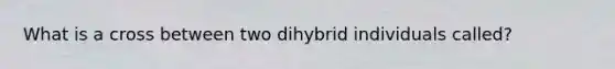 What is a cross between two dihybrid individuals called?