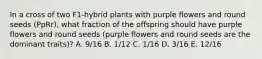 In a cross of two F1-hybrid plants with purple flowers and round seeds (PpRr), what fraction of the offspring should have purple flowers and round seeds (purple flowers and round seeds are the dominant traits)? A. 9/16 B. 1/12 C. 1/16 D. 3/16 E. 12/16