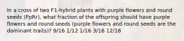 In a cross of two F1-hybrid plants with purple flowers and round seeds (PpRr), what fraction of the offspring should have purple flowers and round seeds (purple flowers and round seeds are the dominant traits)? 9/16 1/12 1/16 3/16 12/16