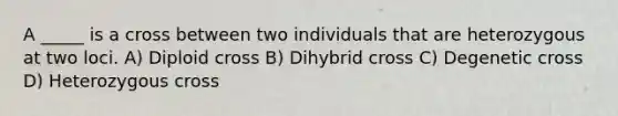 A _____ is a cross between two individuals that are heterozygous at two loci. A) Diploid cross B) Dihybrid cross C) Degenetic cross D) Heterozygous cross