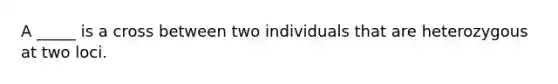 A _____ is a cross between two individuals that are heterozygous at two loci.