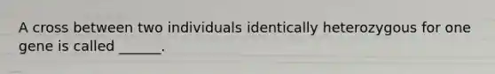 A cross between two individuals identically heterozygous for one gene is called ______.