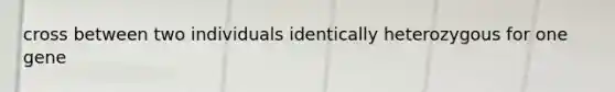 cross between two individuals identically heterozygous for one gene