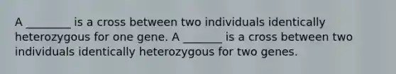 A ________ is a cross between two individuals identically heterozygous for one gene. A _______ is a cross between two individuals identically heterozygous for two genes.