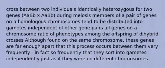 cross between two individuals identically heterozygous for two genes (AaBb x AaBb) during meiosis members of a pair of genes on a homologous chromosomes tend to be distributed into gametes independent of other gene pairs all genes on a chromosome ratio of phenotypes among the offspring of dihybrid crosses Although found on the same chromosome, these genes are far enough apart that this process occurs between them very frequently - in fact so frequently that they sort into gametes independently just as if they were on different chromosomes.