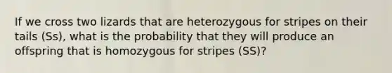 If we cross two lizards that are heterozygous for stripes on their tails (Ss), what is the probability that they will produce an offspring that is homozygous for stripes (SS)?