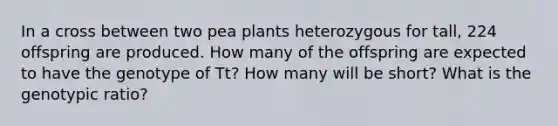 In a cross between two pea plants heterozygous for tall, 224 offspring are produced. How many of the offspring are expected to have the genotype of Tt? How many will be short? What is the genotypic ratio?