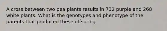 A cross between two pea plants results in 732 purple and 268 white plants. What is the genotypes and phenotype of the parents that produced these offspring