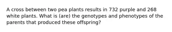 A cross between two pea plants results in 732 purple and 268 white plants. What is (are) the genotypes and phenotypes of the parents that produced these offspring?