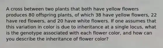 A cross between two plants that both have yellow flowers produces 80 offspring plants, of which 38 have yellow flowers, 22 have red flowers, and 20 have white flowers. If one assumes that this variation in color is due to inheritance at a single locus, what is the genotype associated with each flower color, and how can you describe the inheritance of flower color?