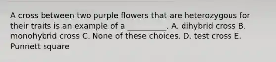 A cross between two purple flowers that are heterozygous for their traits is an example of a __________. A. dihybrid cross B. monohybrid cross C. None of these choices. D. test cross E. Punnett square