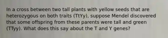 In a cross between two tall plants with yellow seeds that are heterozygous on both traits (TtYy), suppose Mendel discovered that some offspring from these parents were tall and green (TTyy). What does this say about the T and Y genes?