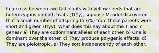 In a cross between two tall plants with yellow seeds that are heterozygous on both traits (TtYy), suppose Mendel discovered that a small number of offspring (5-6%) from these parents were short and green (ttyy). What does this say about the T and Y genes? a) They are codominant alleles of each other. b) One is dominant over the other. c) They produce polygenic effects. d) They are pleiotropic. e) They sort independently of each other.