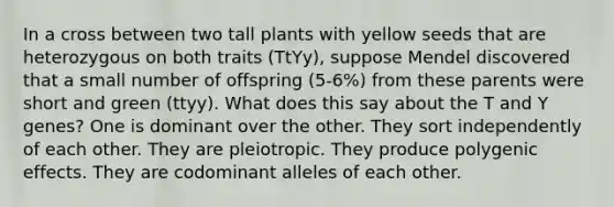 In a cross between two tall plants with yellow seeds that are heterozygous on both traits (TtYy), suppose Mendel discovered that a small number of offspring (5-6%) from these parents were short and green (ttyy). What does this say about the T and Y genes? One is dominant over the other. They sort independently of each other. They are pleiotropic. They produce polygenic effects. They are codominant alleles of each other.