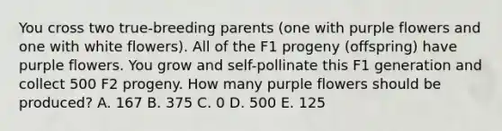 You cross two true-breeding parents (one with purple flowers and one with white flowers). All of the F1 progeny (offspring) have purple flowers. You grow and self-pollinate this F1 generation and collect 500 F2 progeny. How many purple flowers should be produced? A. 167 B. 375 C. 0 D. 500 E. 125