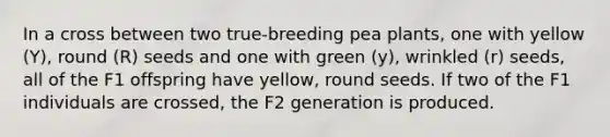 In a cross between two true-breeding pea plants, one with yellow (Y), round (R) seeds and one with green (y), wrinkled (r) seeds, all of the F1 offspring have yellow, round seeds. If two of the F1 individuals are crossed, the F2 generation is produced.