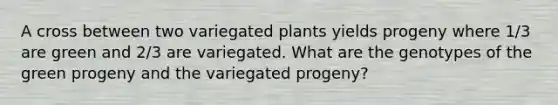 A cross between two variegated plants yields progeny where 1/3 are green and 2/3 are variegated. What are the genotypes of the green progeny and the variegated progeny?