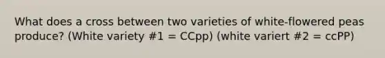 What does a cross between two varieties of white-flowered peas produce? (White variety #1 = CCpp) (white variert #2 = ccPP)