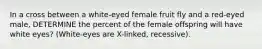 In a cross between a white-eyed female fruit fly and a red-eyed male, DETERMINE the percent of the female offspring will have white eyes? (White-eyes are X-linked, recessive).