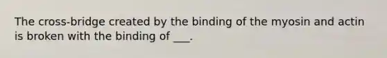 The cross-bridge created by the binding of the myosin and actin is broken with the binding of ___.