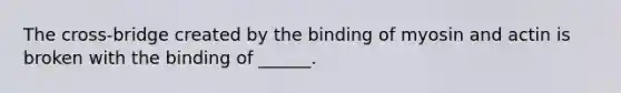 The cross-bridge created by the binding of myosin and actin is broken with the binding of ______.