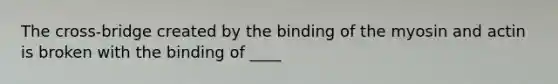 The cross-bridge created by the binding of the myosin and actin is broken with the binding of ____