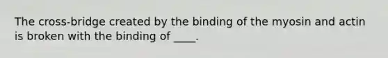 The cross-bridge created by the binding of the myosin and actin is broken with the binding of ____.