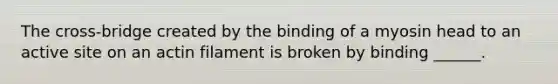 The cross-bridge created by the binding of a myosin head to an active site on an actin filament is broken by binding ______.