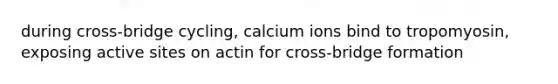 during cross-bridge cycling, calcium ions bind to tropomyosin, exposing active sites on actin for cross-bridge formation