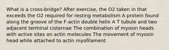 What is a cross-bridge? After exercise, the O2 taken in that exceeds the O2 required for resting metabolism A protein found along the groove of the F-actin double helix A T tubule and two adjacent terminal cisternae The combination of myosin heads with active sites on actin molecules The movement of myosin head while attached to actin myofilament