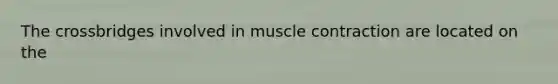 The crossbridges involved in muscle contraction are located on the