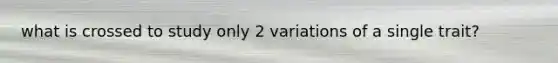 what is crossed to study only 2 variations of a single trait?